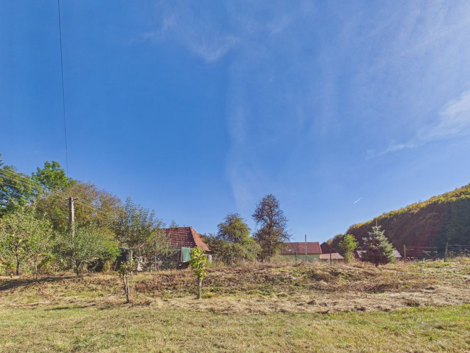 Cabana Valea Dobarlaului, 2 garaje, 4648mp teren – fotografia 32 din 33