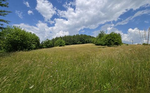 De vânzare teren cu potențial de dezvoltare zona  After Hills