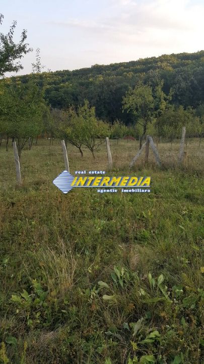 Teren Intravilan 700 mp zona Schit -vii – fotografia 4 din 6
