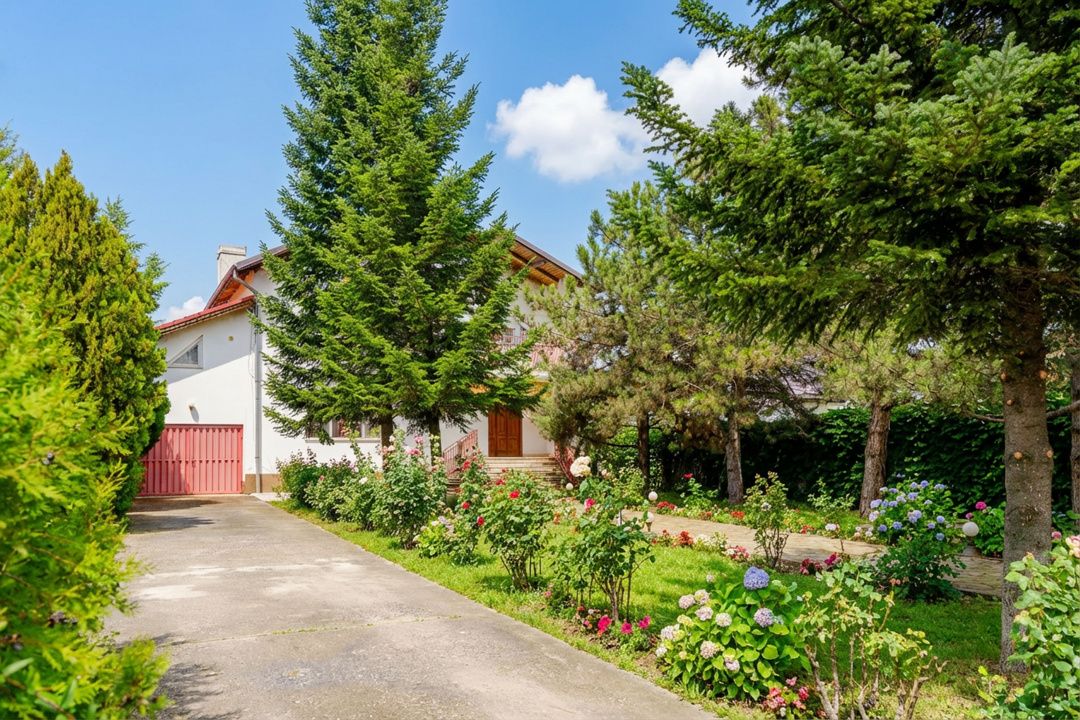 Casă de vacanță sau locuință permanentă, teren 2649 mp, Snagov - Ciofliceni – fotografia 8 din 34
