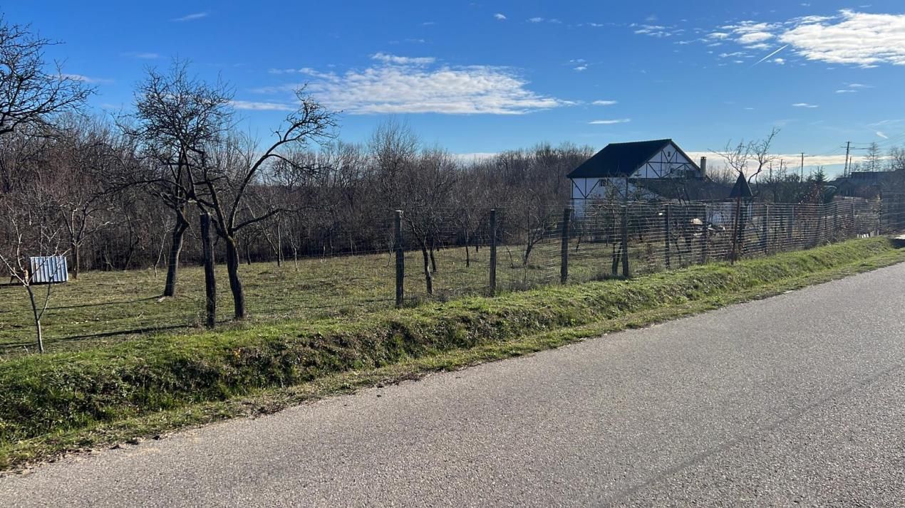 Refugiu la țară: casă cu 2 camere și teren de aproape 4.000 mp, Cocu – fotografia 4 din 5