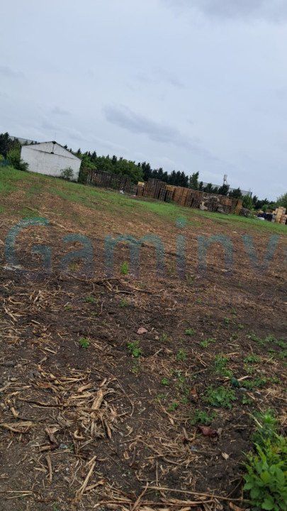 Teren intravilan, 8000 mp de inchiriat, Calea Borsului, Oradea – fotografia 2 din 2