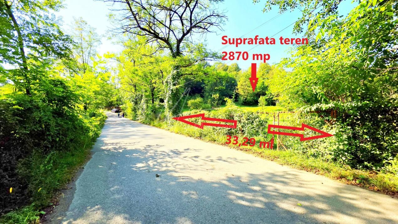 TEREN IN SUPRFATA DE 2870 MP IN PROVITA DE SUS VALEA BRADULUI JUD PRAHOVA – fotografia 4 din 16