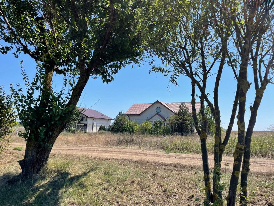 Teren intravilan de vânzare în Costinești – 417 mp, deschidere 20 ml – fotografia 13 din 16