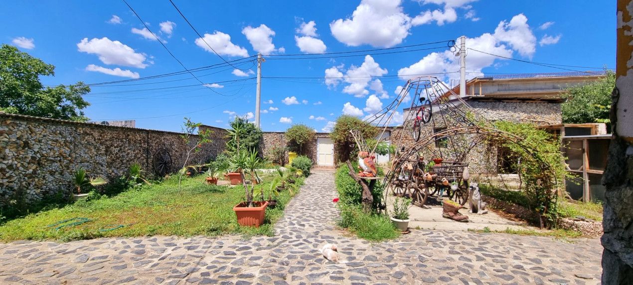 Casă parter cu teren de 1400 mp în Bariera Vâlcii aproape de drumul expres – fotografia 4 din 24