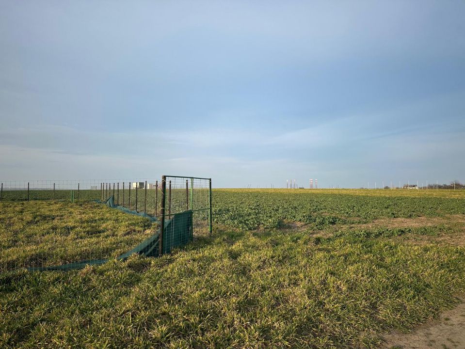 Teren intravilan | Eforie Nord - Steaua de Mare | Ideal investiție – fotografia 3 din 4