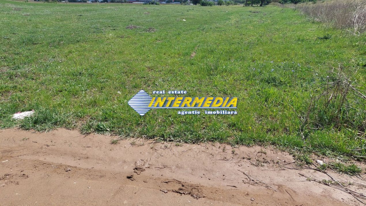 Teren  intravilan de vanzare zona Ampoi 3 de 27500mp – fotografia 3 din 5