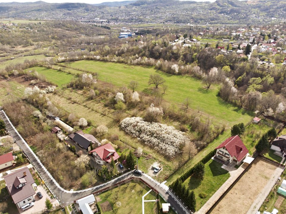 Mountain Plateau - 23.345 SQM - Exclusive Estate | Jud Prahova - Valea Prahovei – fotografia 6 din 10