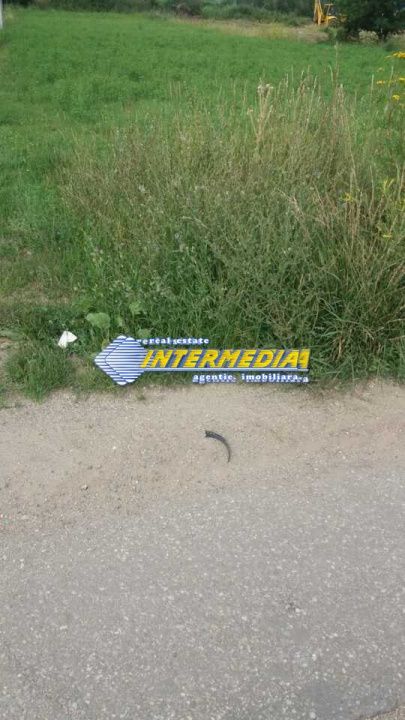 Teren Intravilan de vanzare 2200 mp zona Vintu de Jos – fotografia 3 din 5