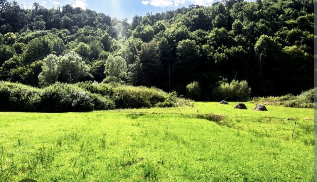🌿 TEREN DE VÂNZARE LA IEȘIRE DIN POPLACA – PANORAMĂ SPRE PĂDURE ȘI ORAȘ! 🌳🏡 – fotografia 3 din 3