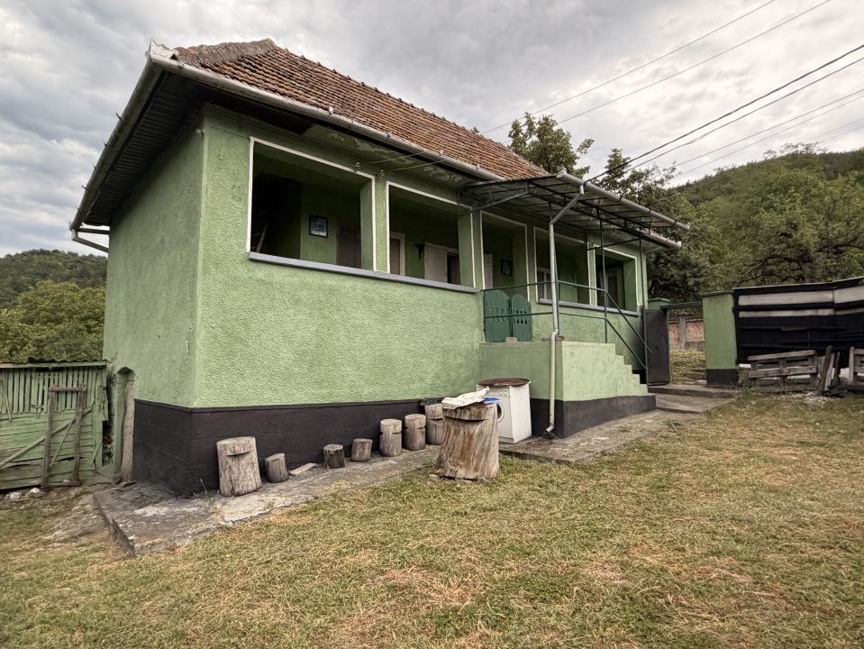Casă în Cricău cu 1.375 mp teren, anexe, utilități, vie și livadă - Oportunitate – fotografia 2 din 54