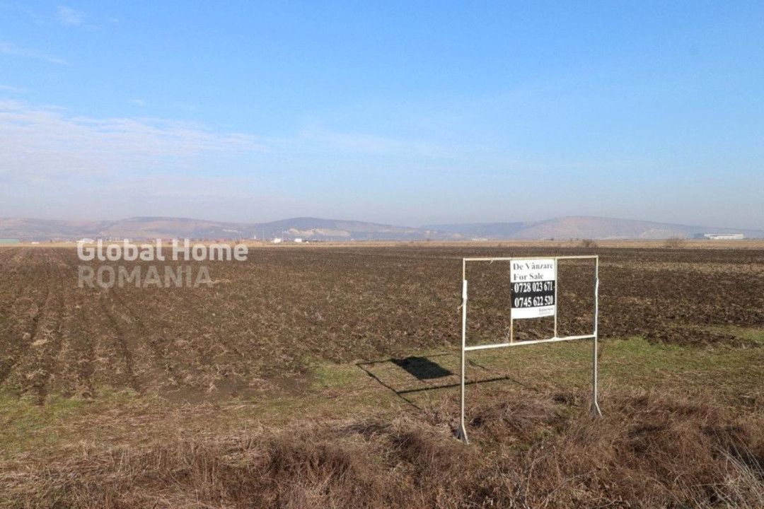 Teren 25000 MP | TG. MURES-SANPAUL | INTRAVILAN | 98 m acces DN 15 | A3 la 5 km – fotografia 3 din 9
