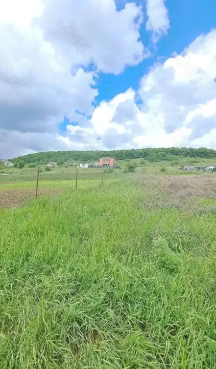 Teren extravilan , 637mp, Lomb – fotografia 3 din 4
