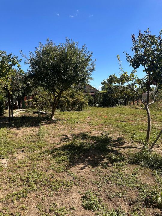 Casă P+1 cu 6 camere de vânzare în Mihail Kogălniceanu – teren 500 mp – fotografia 11 din 31