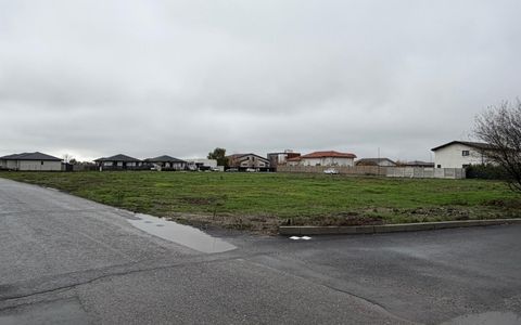 Corbeanca-Tamasi Oportunitate excelenta pentru dezvoltare rezidentiala