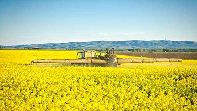PORTOFOLIU AGRICOL PREMIUM 3.000 HA SUDUL ROMÂNIEI OPORTUNITATE INVESTIȚIONALĂ – fotografia 6 din 9