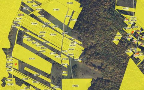 Oportunitate investitie! Teren intravilan, 5800mp, Floresti