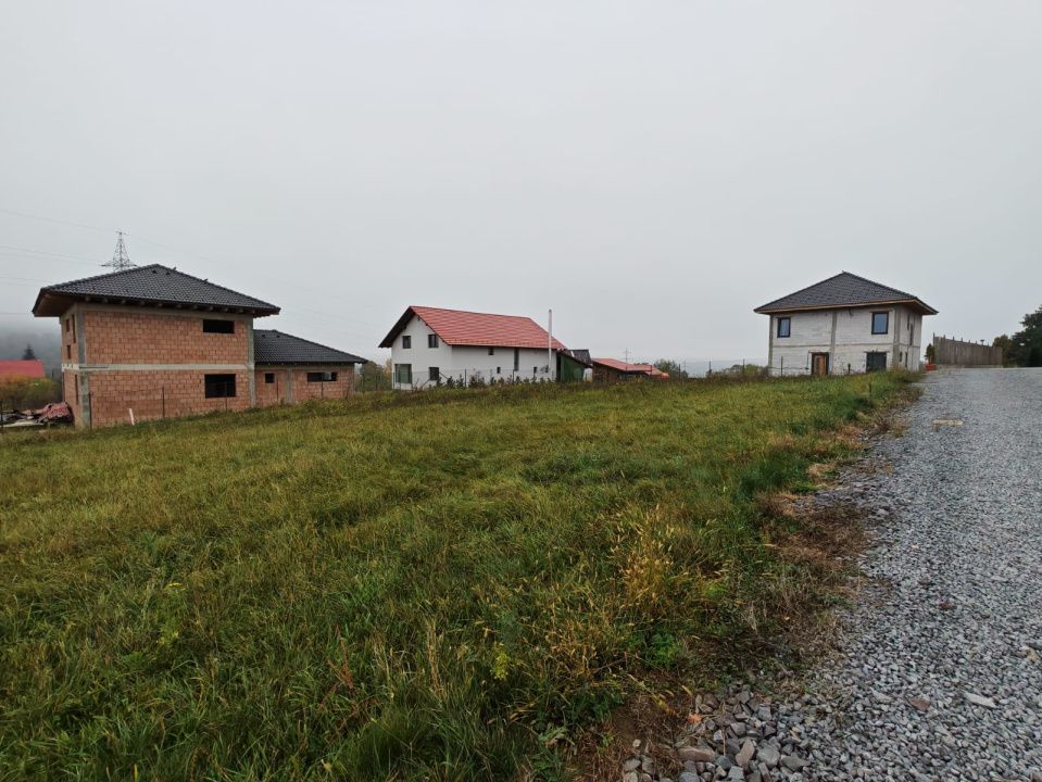 Teren de vânzare în Sovata - 1000 mp / Dealul Mestecănișului – fotografia 6 din 11