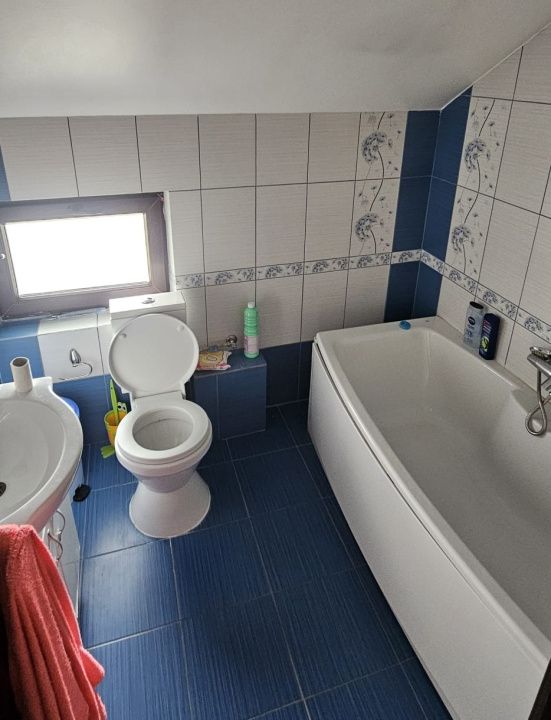 Casa 3 camere, teren 665 mp, Preajba, Malu Mare, zona Damila. – fotografia 10 din 13