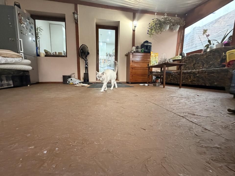 Casa individuala 171 mp utili, 411 mp teren, panouri solare -Zona Dambovita – fotografia 20 din 24