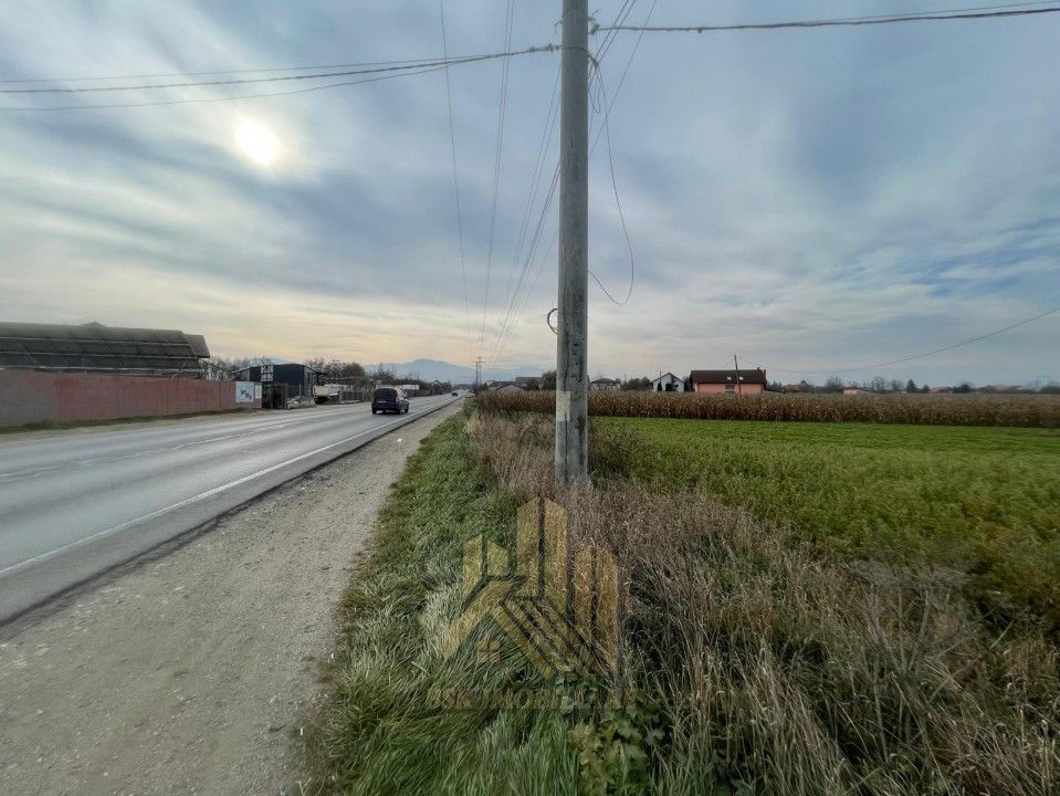 Vanzare-Teren-intravilan-6250mp-Calea-Feldioarei-Stupini-Brasov – fotografia 4 din 5
