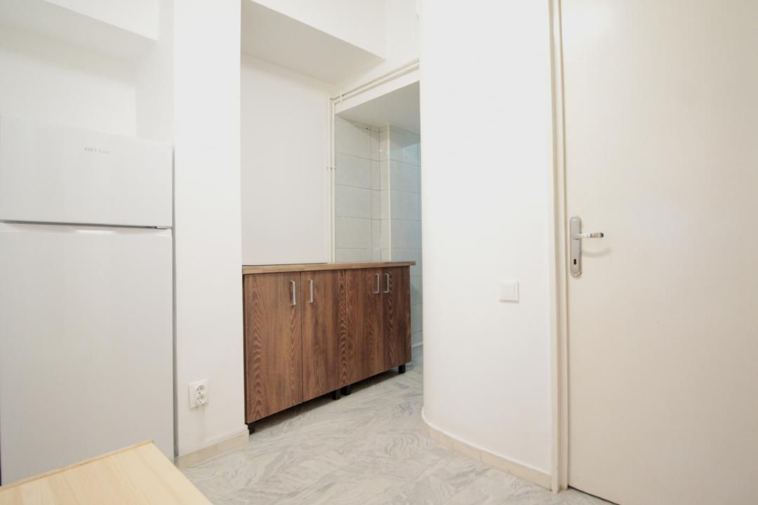 ULTRACENTRAL-CALEA VICTORIEI, ION CAMPINEANU, LA DOI PASI DE PARCUL CISMIGIU! – fotografia 7 din 19
