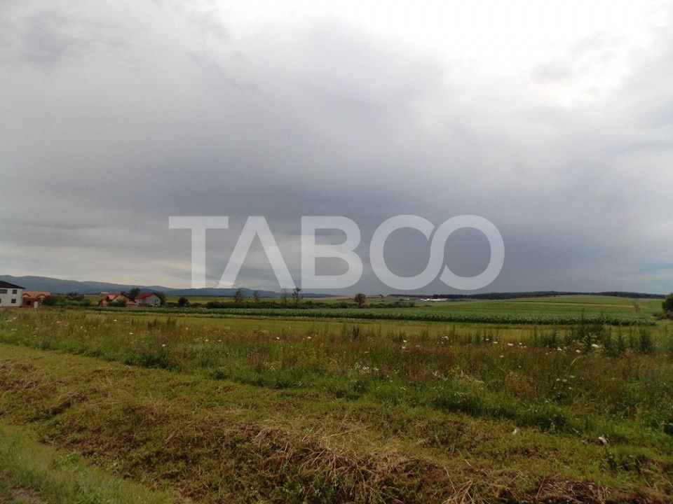 Teren de vanzare 10000 mp CF 107274 deschidere de 42 m in Sura Mica – fotografia 3 din 8