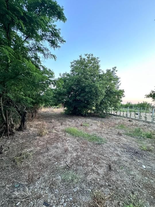 Teren intravilan de vânzare – Aleea Mănăstirii  2.400 mp – fotografia 1 din 1