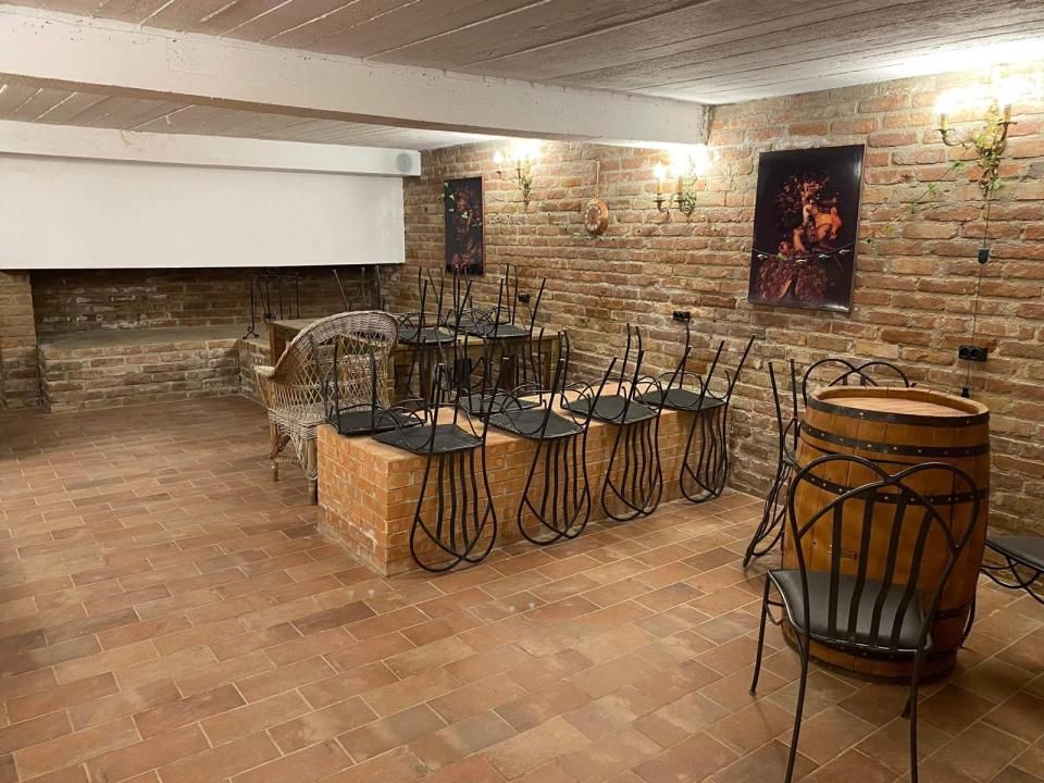 Conac exclusivist în Făget, 1.000 mp utili, teren 2.000 mp și piscină – fotografia 9 din 12