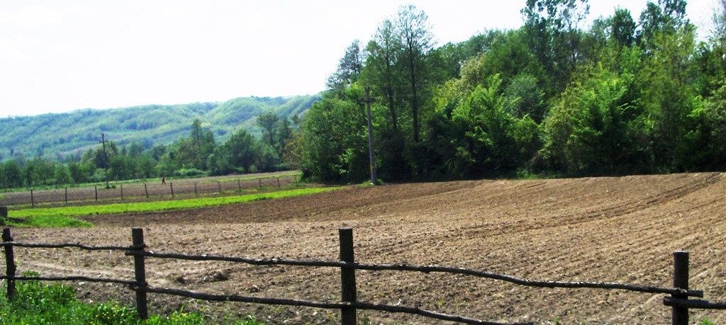 Teren intravilan 21.000 mp de vânzare – Suseni, Comuna Bogați, Județul Argeș – fotografia 6 din 16