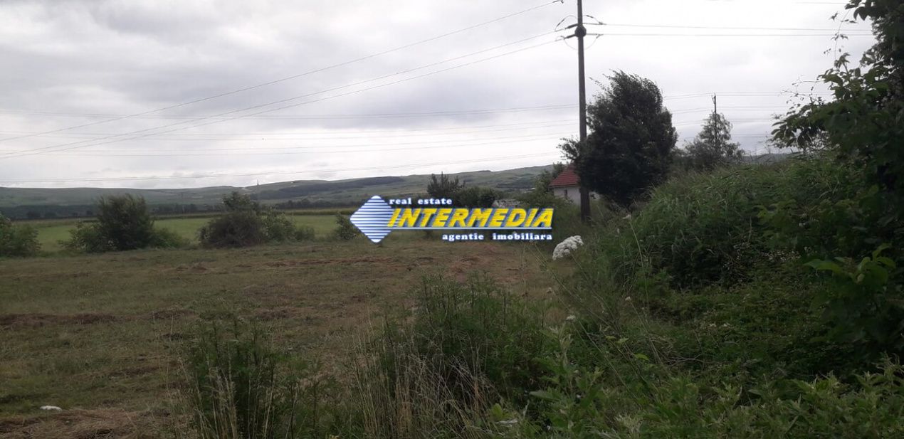 Teren intravilan de vanzare 2500 mp  Soseaua de centura – fotografia 3 din 3