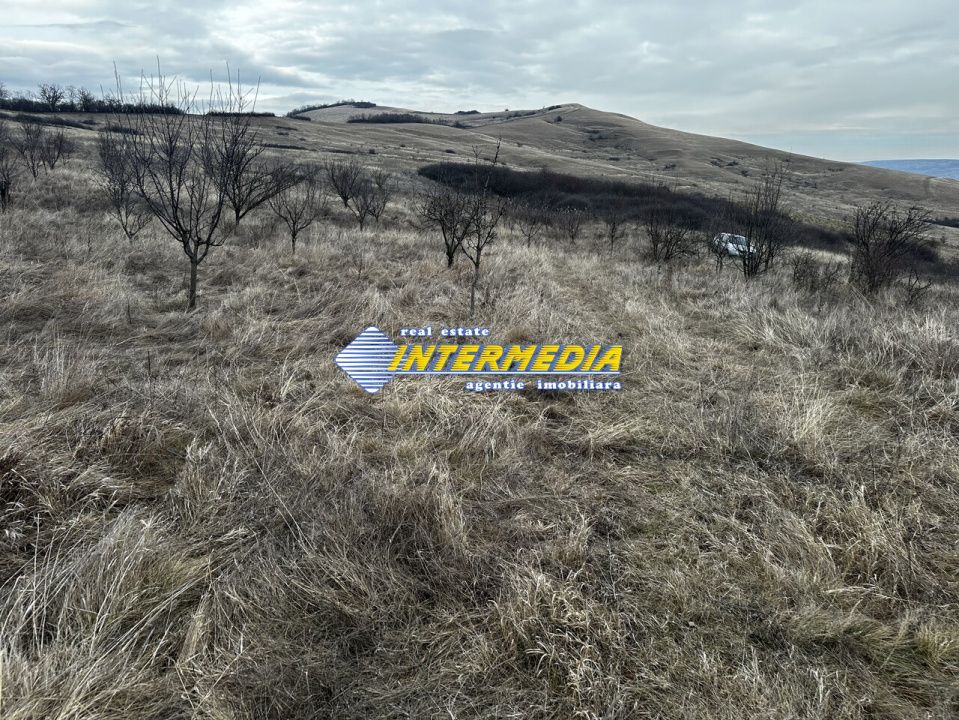 Teren extravilan de vanzare in suprafata de 80000 mp cu livada de pomi fructiferi – fotografia 3 din 11