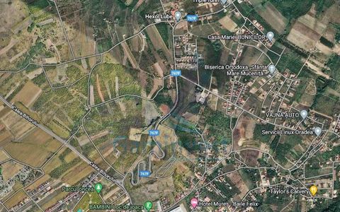 Teren extravilan de vanzare, Oradea, Bihor