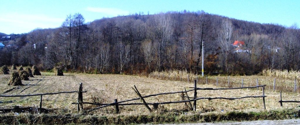 Teren intravilan 21.000 mp de vânzare – Suseni, Comuna Bogați, Județul Argeș – fotografia 5 din 16