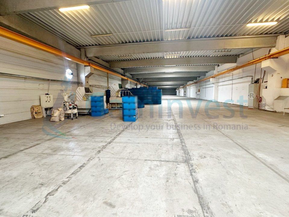 Hala industriala de inchiriat, Parc Industrial, Oradea, Bihor – fotografia 4 din 4