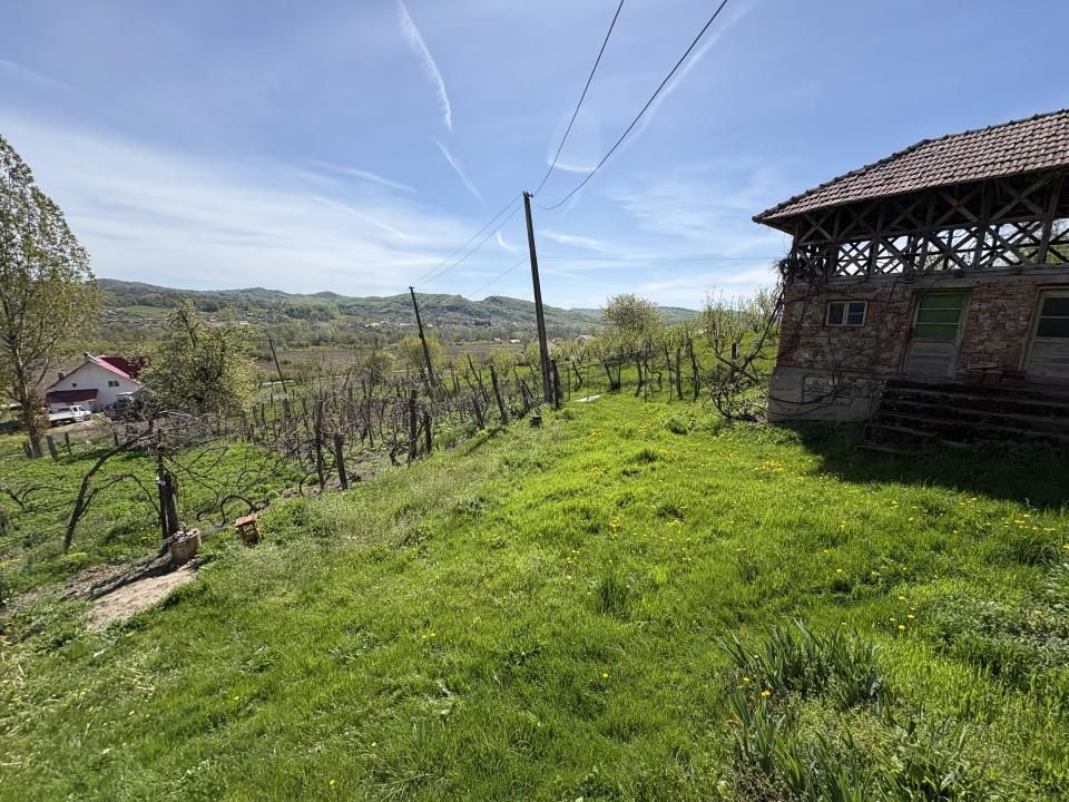 14.613 mp teren | Casă la roșu și 2 case tradiționale | 1,5 km de A1 Tigveni – fotografia 3 din 10