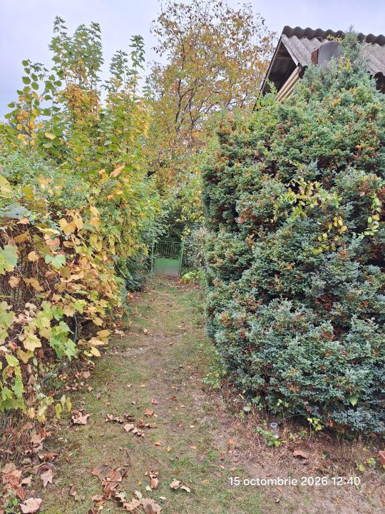 Teren intravilan Tocile, 1.093 mp / livadă, cabană, rulotă și o toamna frumoasă! – fotografia 9 din 37