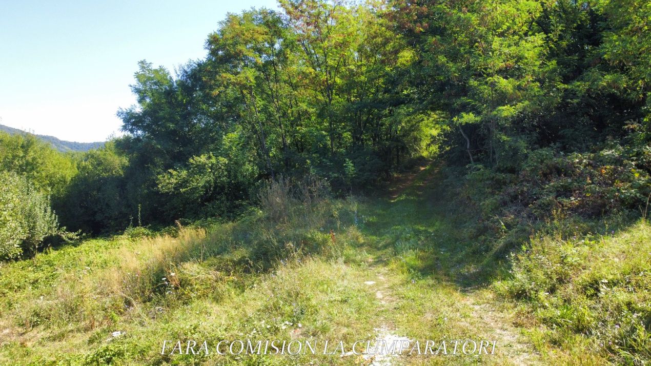 TEREN LANGA ORAS, CADRU NATURAL MINUNAT – fotografia 10 din 14
