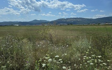 15000 mp teren intravilan industrial – platforma Savinesti, Neamț