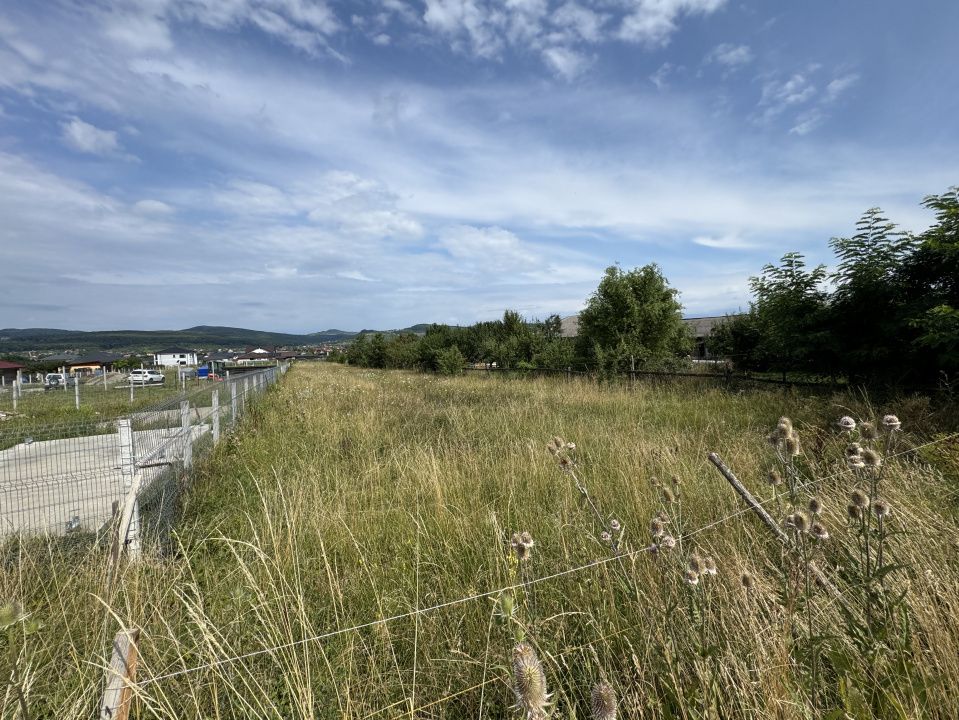 🏡 Teren intravilan de vânzare, 19.42 Ari – zona Unirea, TeraPlast Arena – fotografia 2 din 2