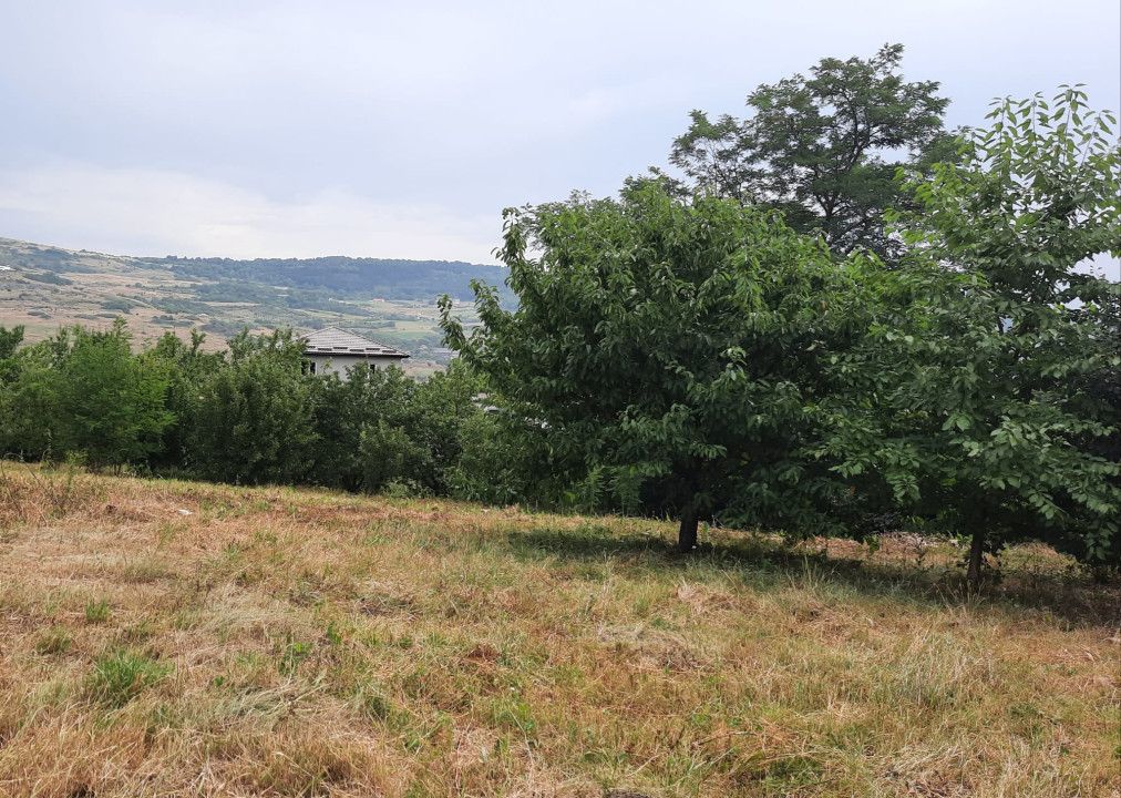 Teren intravilan, 2000 mp, Valea Chintaului – fotografia 2 din 2
