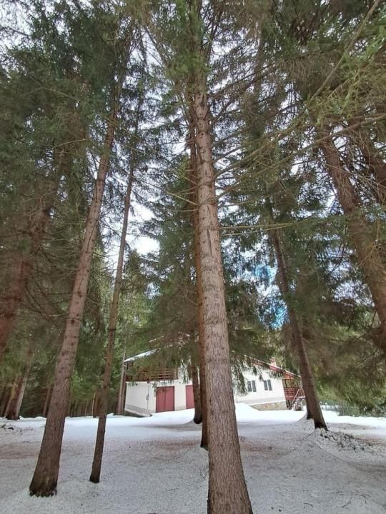 Casă de vacanță spațioasă în Călățele Pădure – Dealul Negru, teren 2000 mp – fotografia 7 din 8