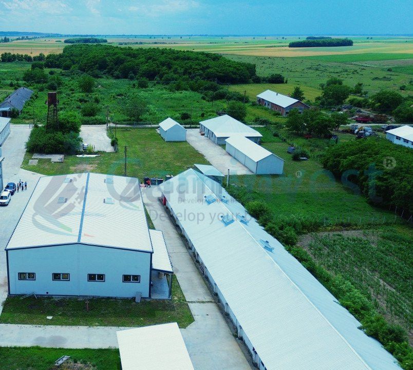 Hala de vanzare cu exclusivitate, la 24 km de Oradea, in Salard, Bihor – fotografia 2 din 16