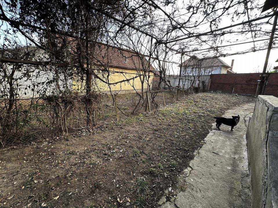 Teren Intravilan intrare Barabant 1242 mp. Imprejmuit Asfalt Utilitati Bransate – fotografia 8 din 14