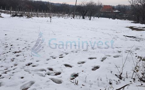 Teren intravilan langa padure, zona Gheorghe Doja,Oradea