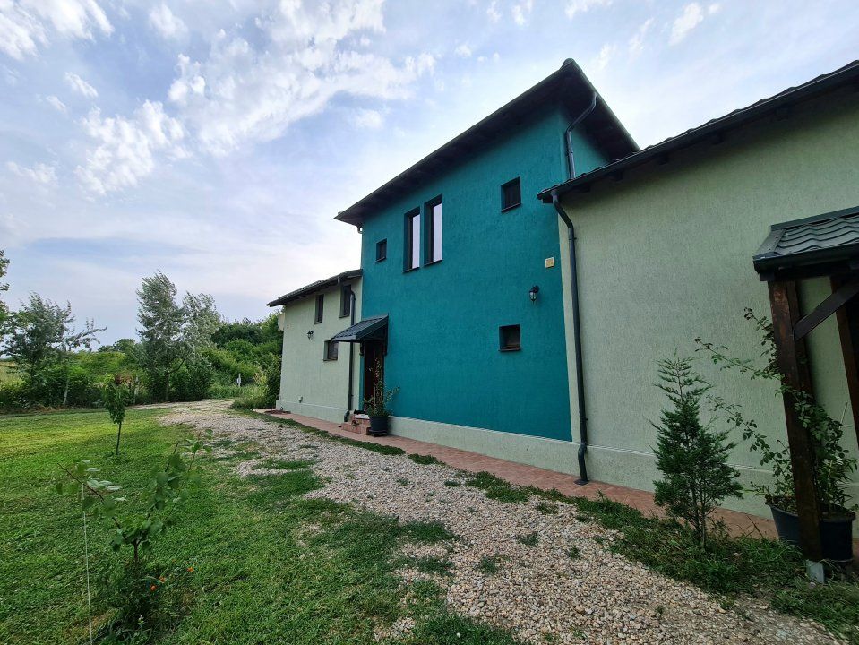 Vila + Afacere 15.000mp Clinceni – fotografia 5 din 31