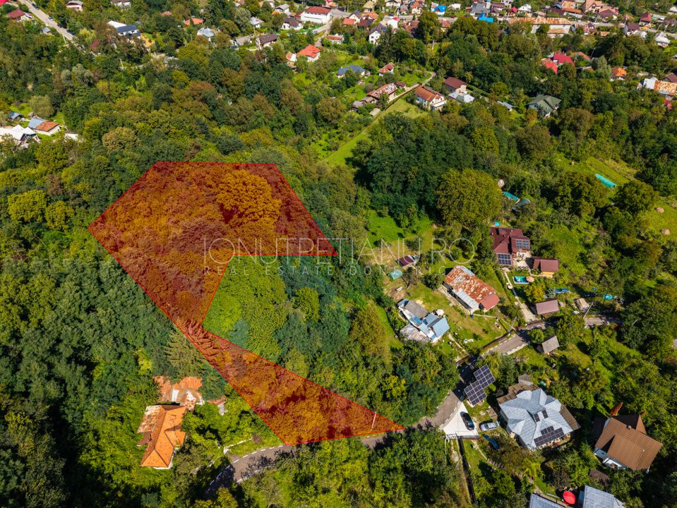 Teren 3.886 mp, Breaza - Podu Vadului, 30 m deschidere la asfalt – fotografia 16 din 16