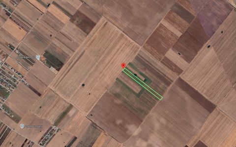 Teren Extravilan In Rate Primaverii Com. Berceni | 4.973mp | #EG39