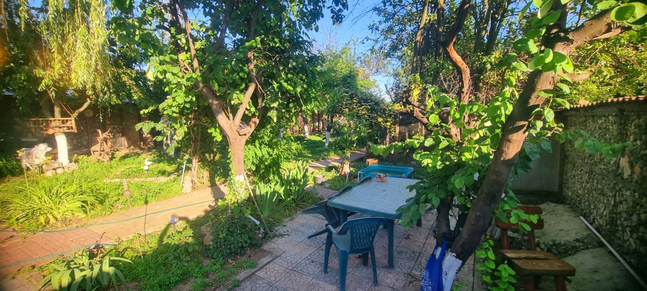 Casă parter cu teren de 1400 mp în Bariera Vâlcii aproape de drumul expres – fotografia 19 din 24