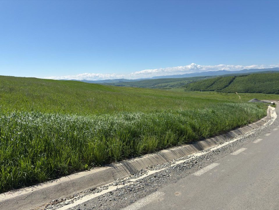 Teren Intravilan de 4.300 mp cu Acces Asfaltat – Popești, Cluj-Napoca – fotografia 6 din 6